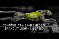 animation by Rob de Wit