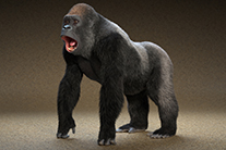 digital-art by Rob de Wit