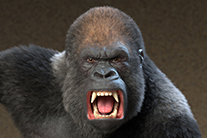 digital-art by Rob de Wit