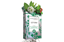 digital-art by Rob de Wit