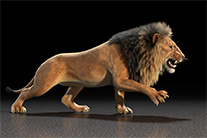 digital-art by Rob de Wit